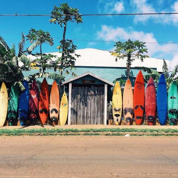 ▷ Partes de una tabla de surf: distínguelas